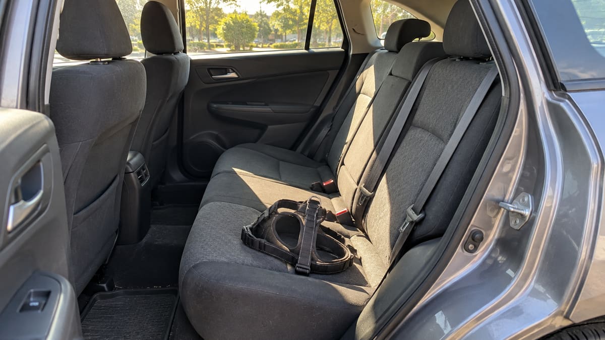 AI illustration: Empty sunlit car seats with a dog harness on the rear seat.