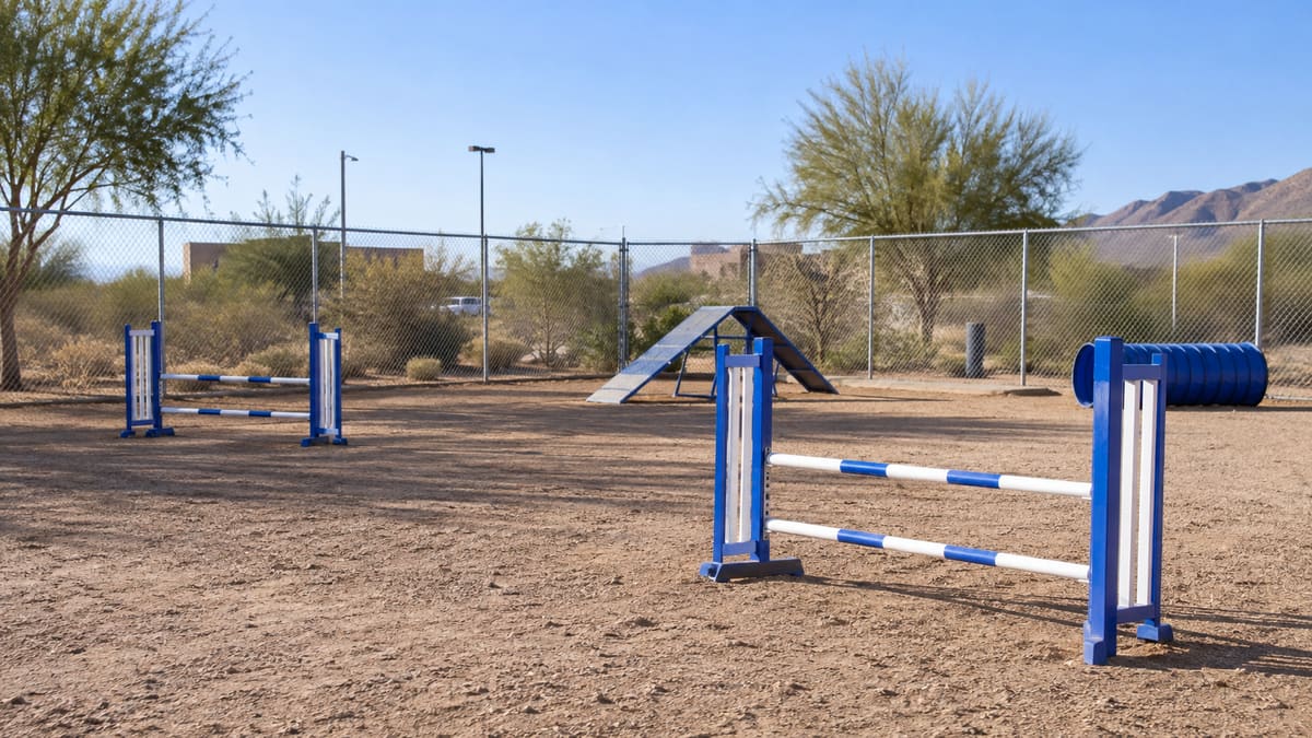 Empty dog training yard with agility hurdles.