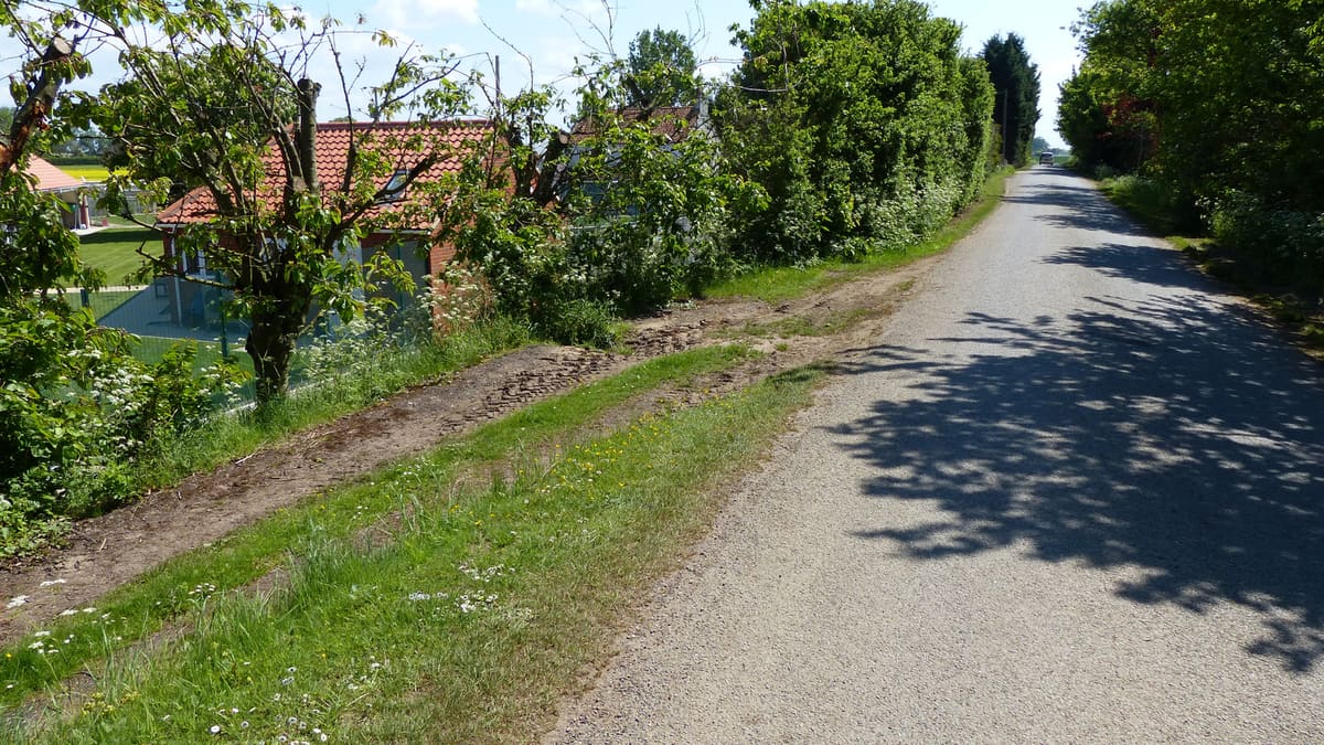 An archival view of Eau Brink Road with the RSPCA centre on the left.