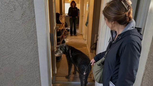 Dog pausing at an apartment doorway while one family member waits with a loose leash