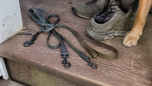 Three used dog leashes in rope nylon and coated webbing on a scratched porch step