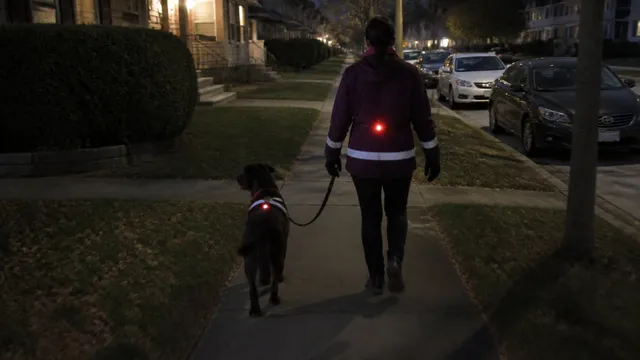 Handler and dark coated dog wearing simple reflective markers on a residential night walk