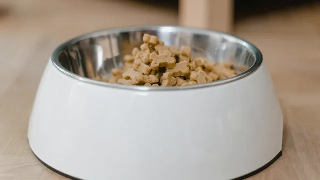 Stainless steel bowl of dry dog food on a wooden floor