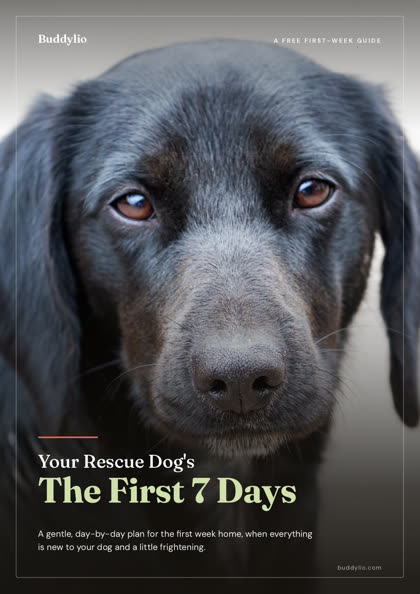 Free 7 day guide cover preview