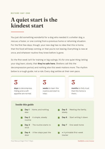 Settling in timeline preview