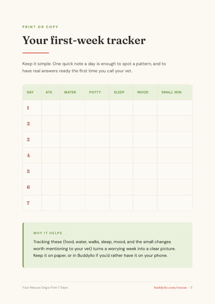 First week tracker preview