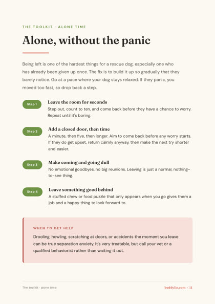 Decision chart from the rescue dog plan
