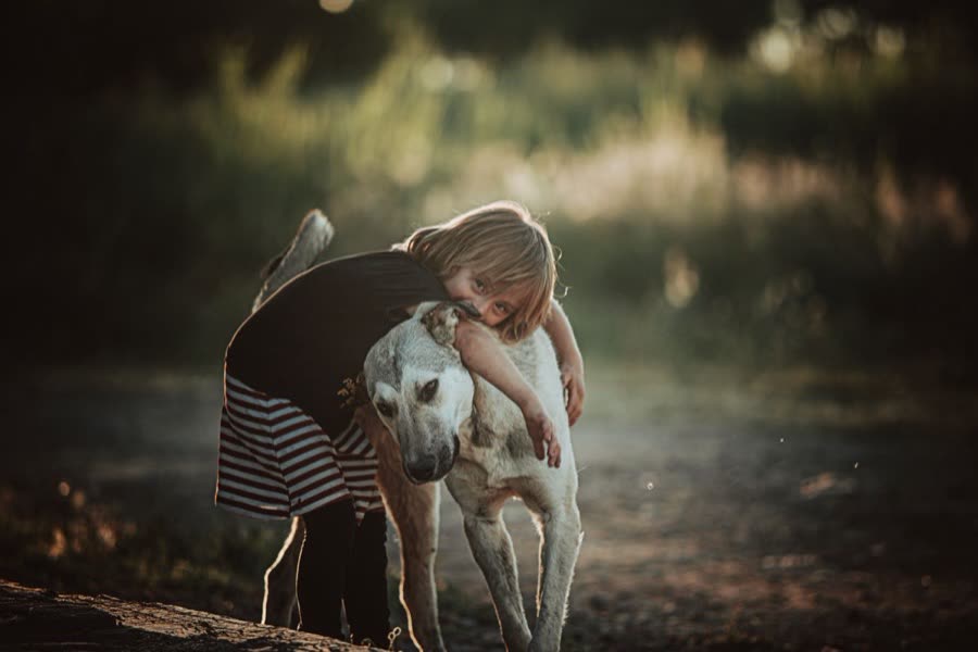 A child hugging a dog outdoors