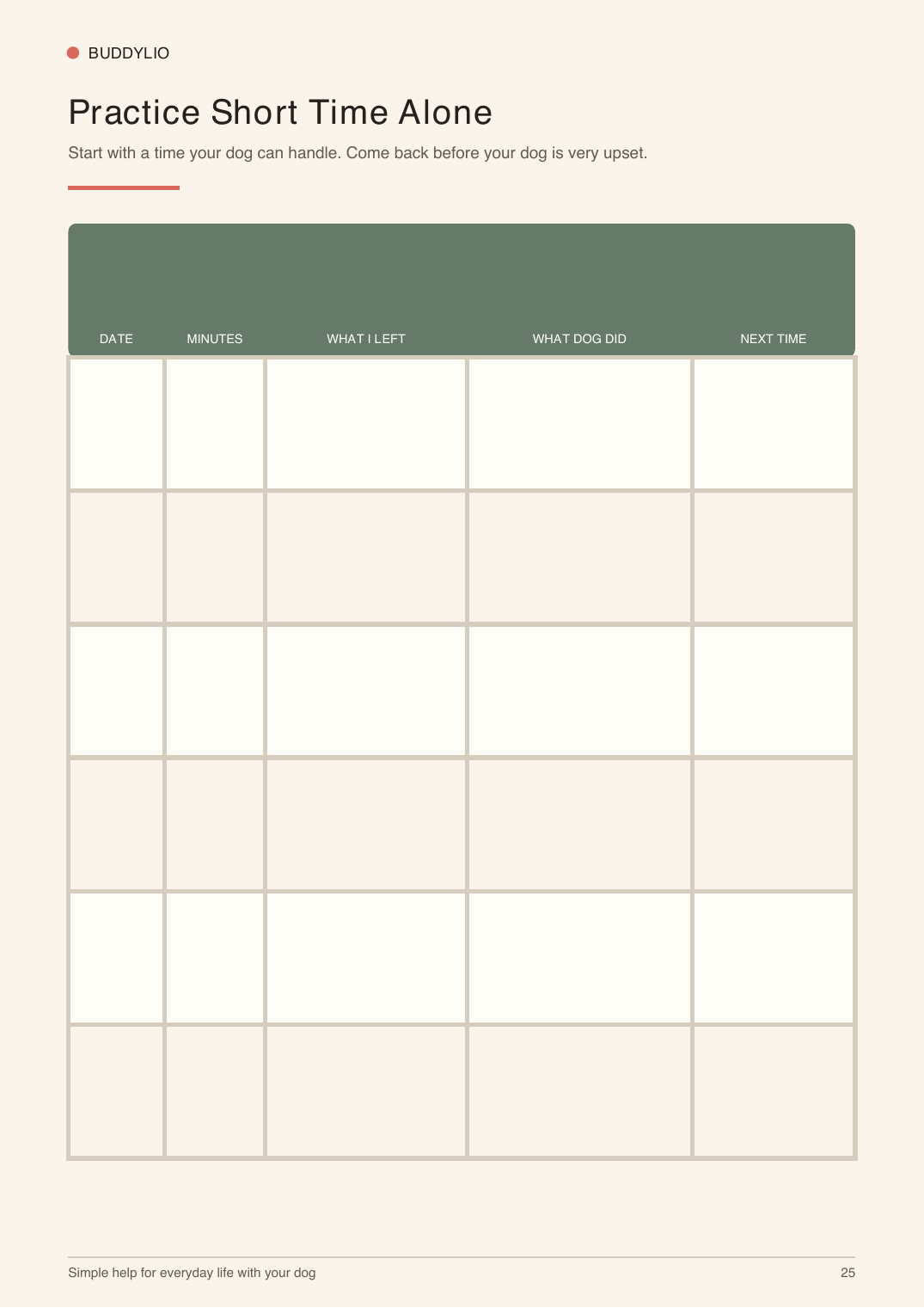 Time alone practice log