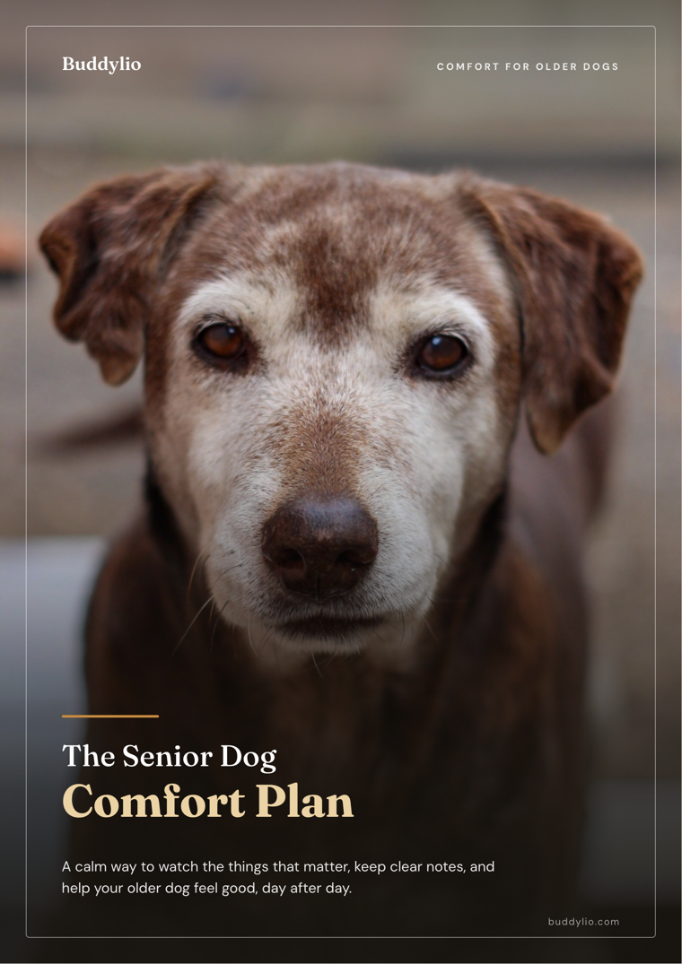 The Senior Dog Comfort Plan cover