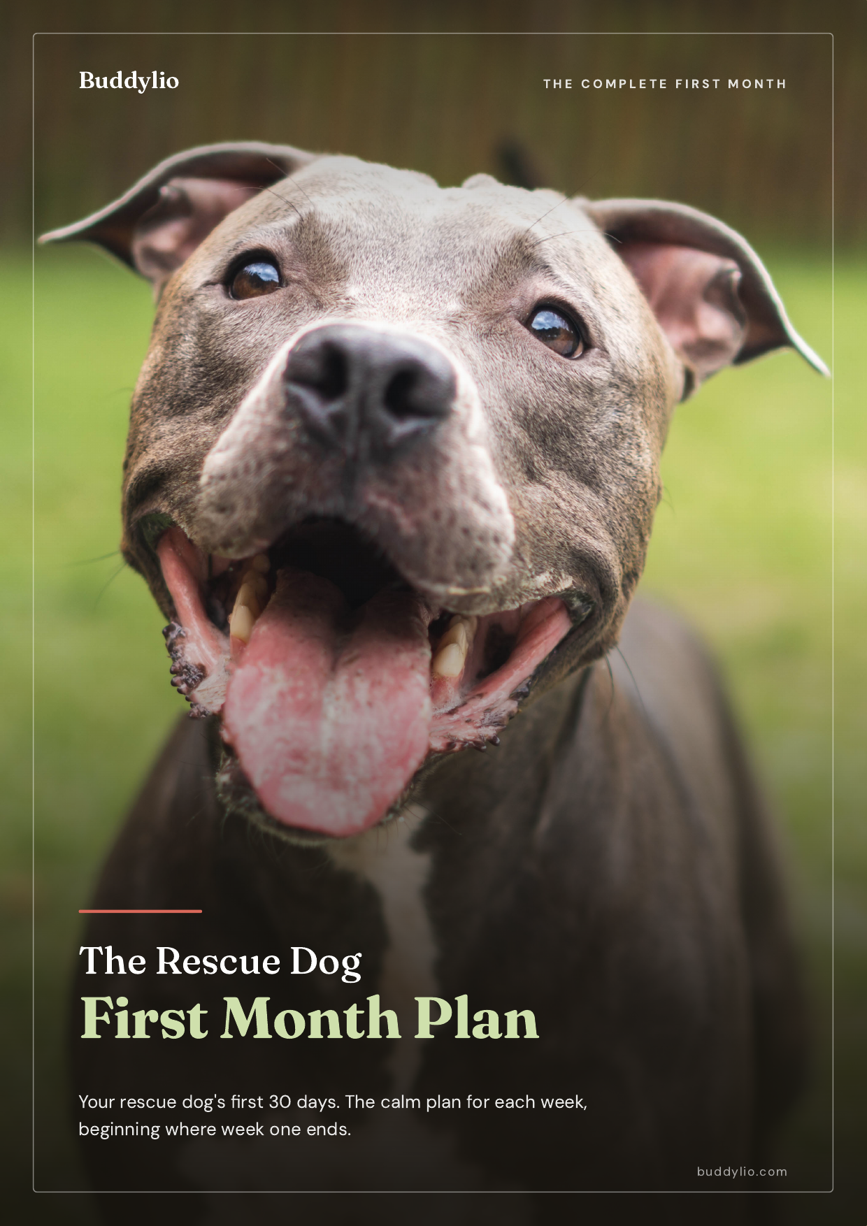 Rescue Dog 30-Day Planner cover